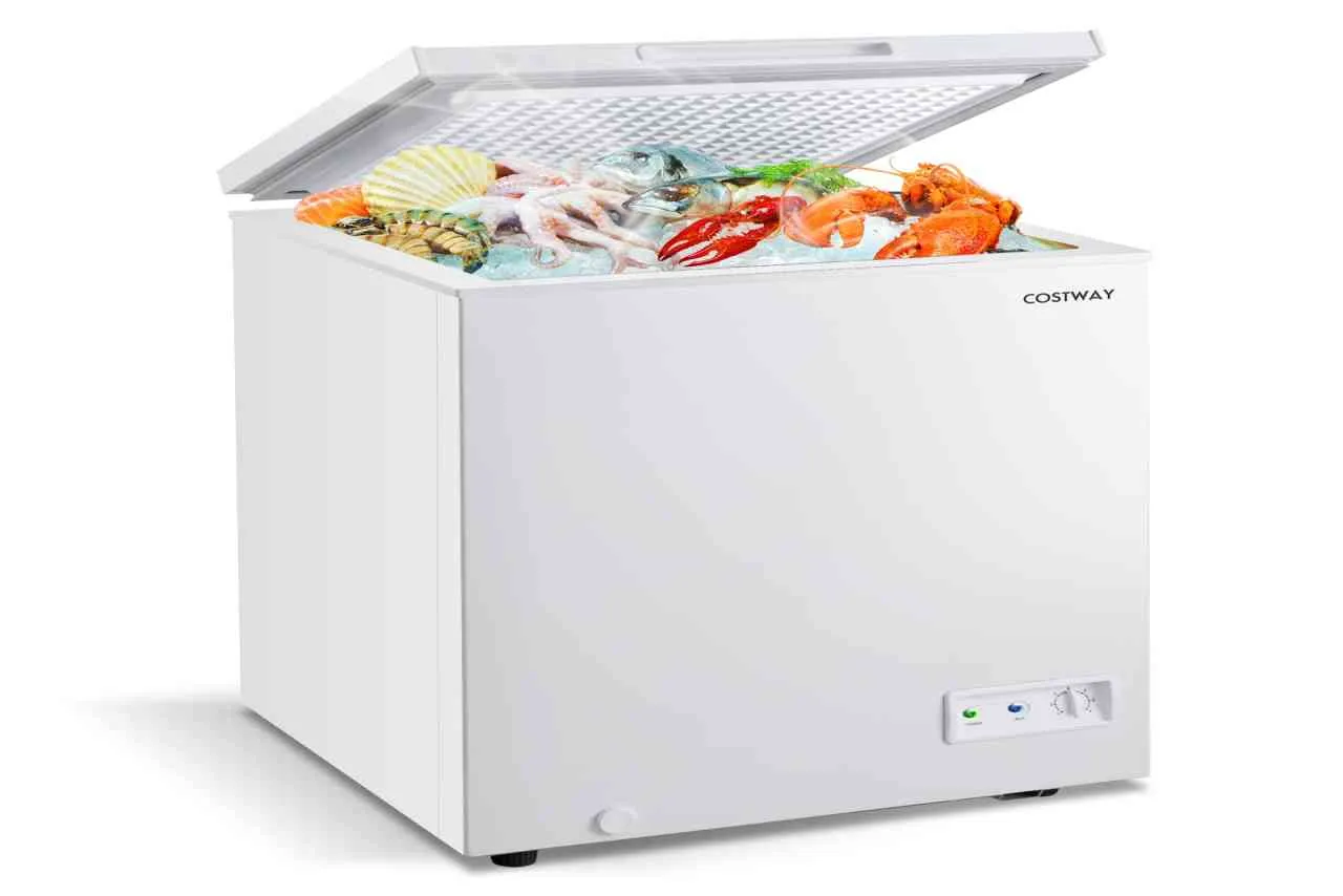 allerta freezer