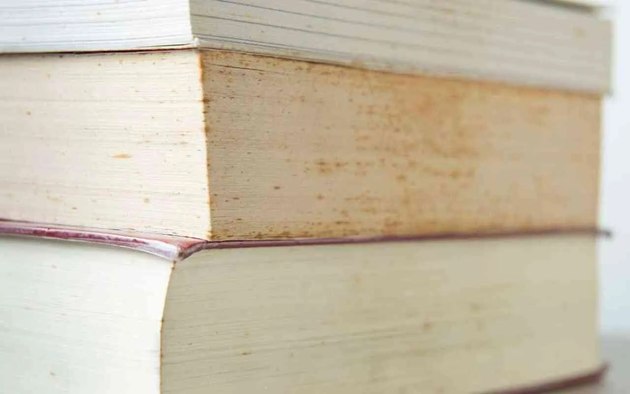 muffa sui libri come rimuoverla