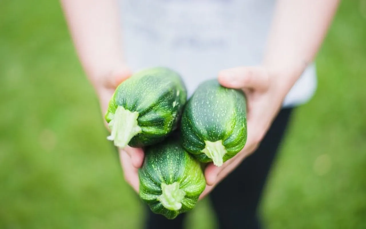 Attenzione alle zucchine fuori stagione