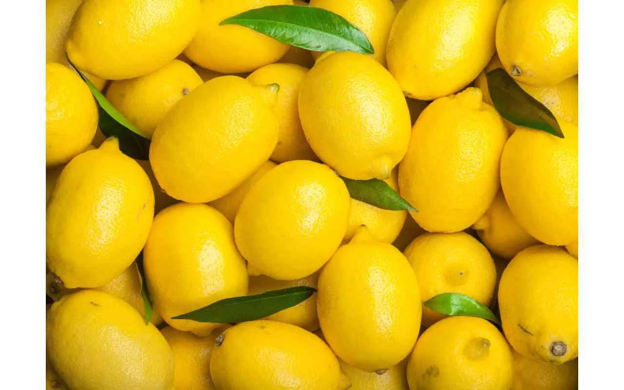 mangiare limoni tutti i giorni