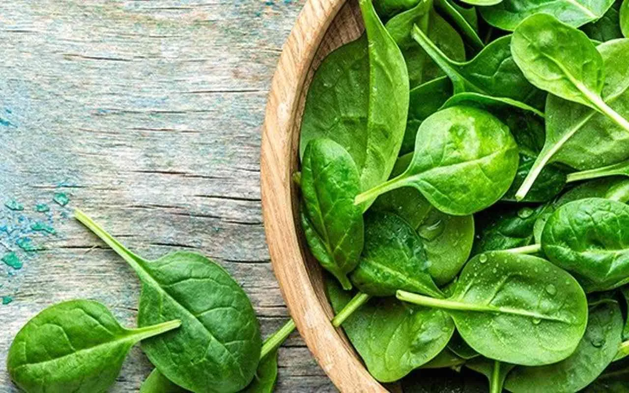 spinaci possono danneggiare fegato