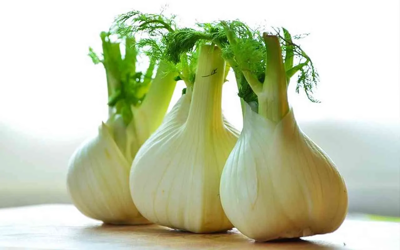 Finocchio aiuta la diuresi