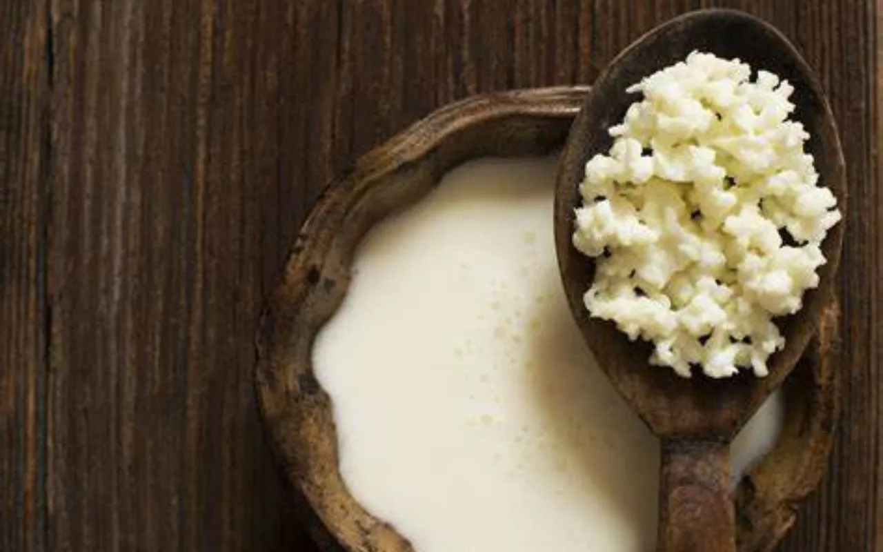 kefir effetti collaterali
