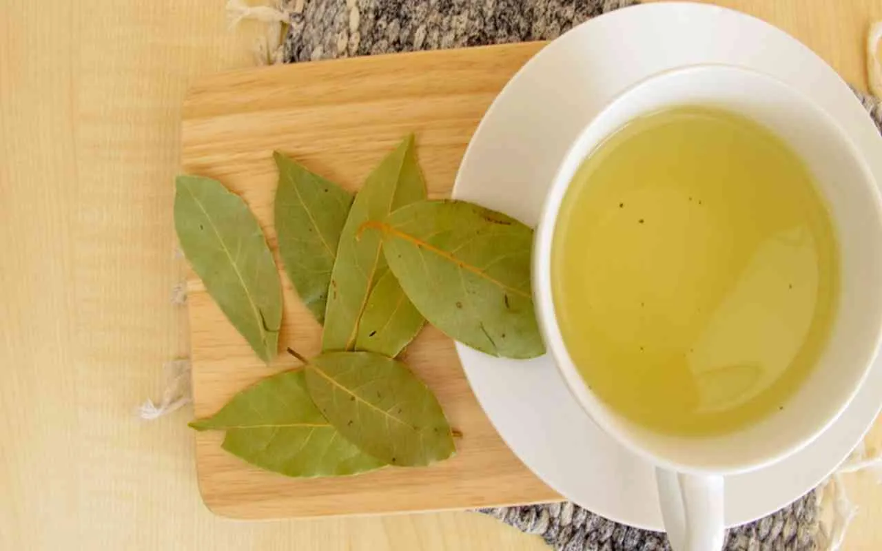 bere alloro aiuta a non disidratarsi