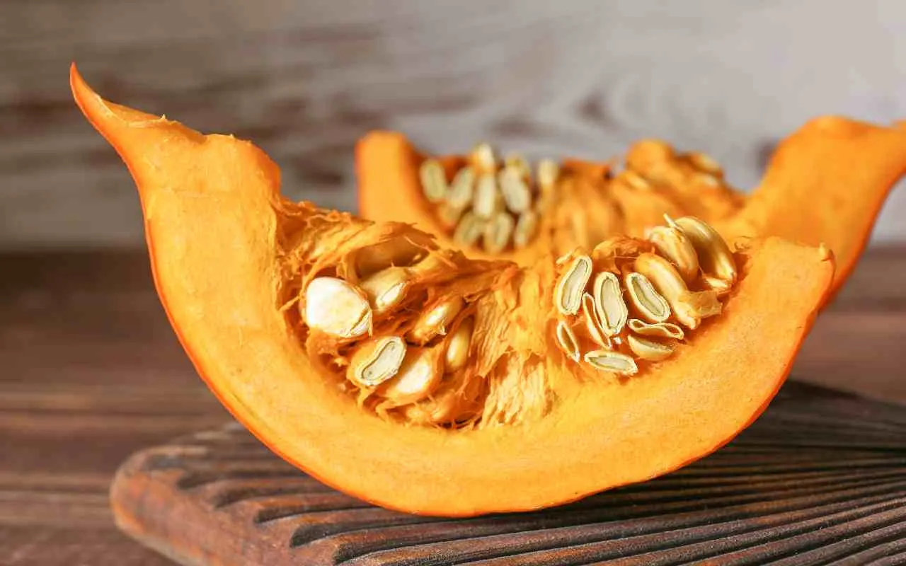 semi della zucca