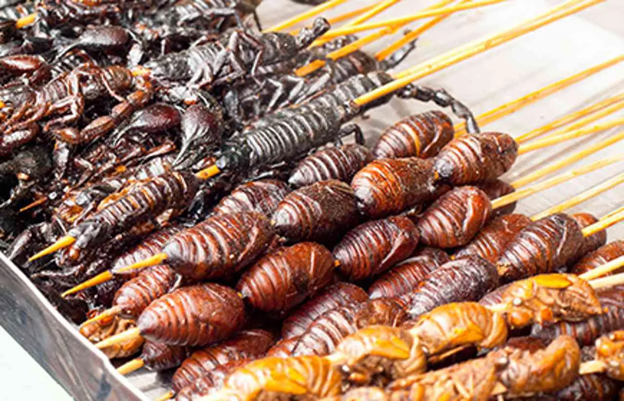 mangiare insetti è davvero salutare